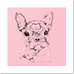 Sketchy Frenchie Posters and Art